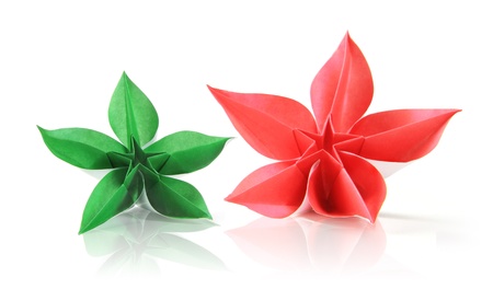 Flower exotic origami on a white backgroundの写真素材