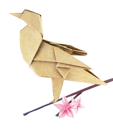 Brown spring origami bird on a sakura branch の写真素材