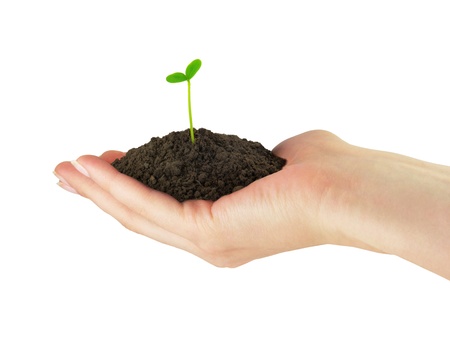 Green seedling plant whith soil in the handの写真素材