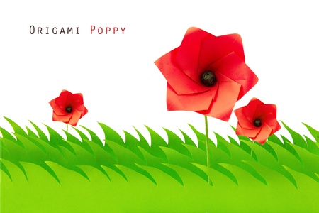 Green grass field with origami poppy on a white backgroundの写真素材