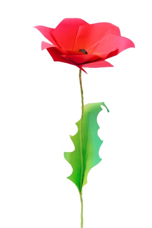 Origami poppy flower on a white bakgroundの写真素材