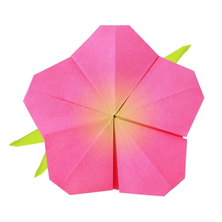 Origami pink flower on a white backgroundの写真素材