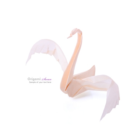 A paper origami fragility swan on a white backgroundの写真素材