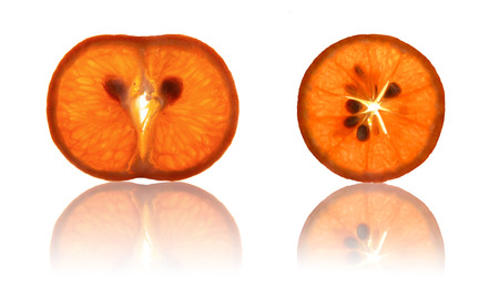 Tangerine orange section on a white backgroundの写真素材