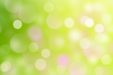 Green defocus bokeh spring sunlight  shiny freshness の写真素材
