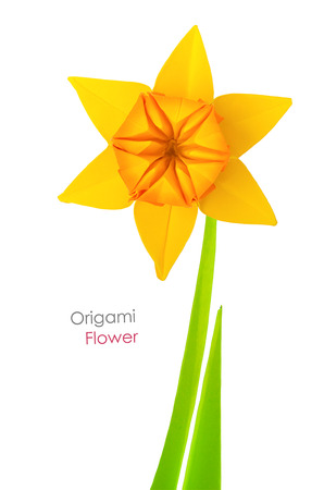 Origami spring yellow narcissus flower on a white backgroundの写真素材
