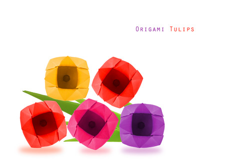 Origami  tulip flowers on a white backgroundの写真素材