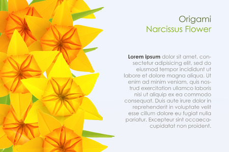 Isolated narcissus spring flowers frame on white backgroundの写真素材