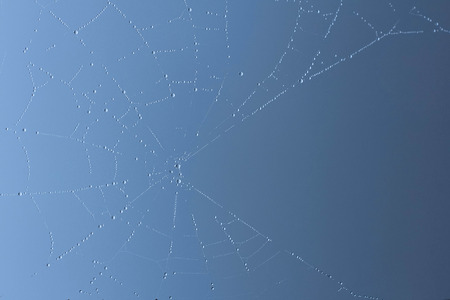Spider web with fog water drops blue backgroundの写真素材