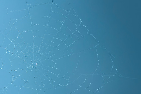 Spider web internet concept with fog water drops blue backgroundの写真素材