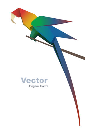 Vector origami parrot on a branch corner corner decorationのイラスト素材