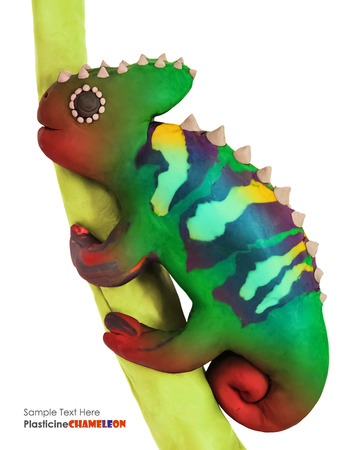 Plasticine cartoon chameleon on a branch on a white backgroundの写真素材