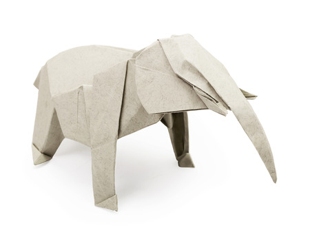 Origami paper gray elephant on a white backgroundの写真素材