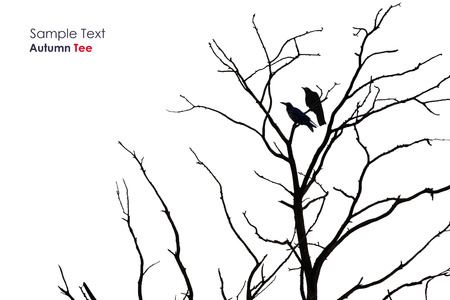 Tree silhouette with a crow on a white backgroundの写真素材