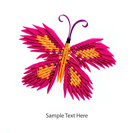 Pink 3d origami butterfly on the white backgroundの写真素材