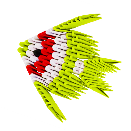 Origami tropical striped fish on the white backgroundの写真素材