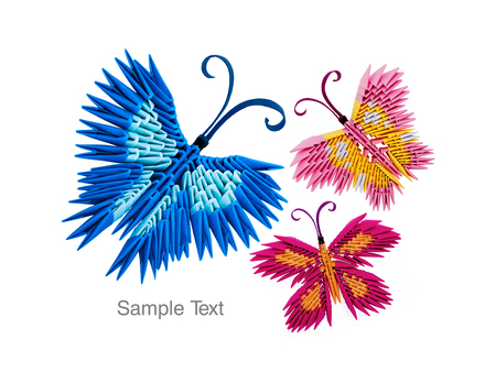 Multicolor 3d origami butterflies couple on the white backgroundの写真素材