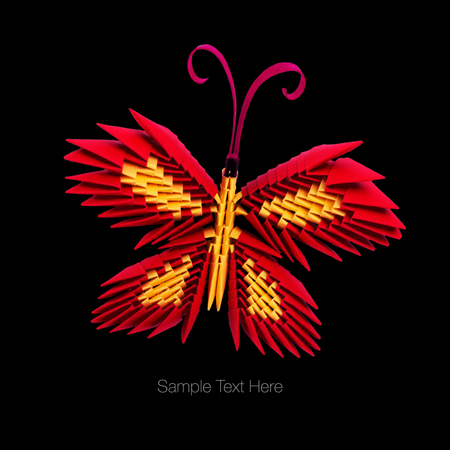 Red 3d origami butterfly on the black night backgroundの写真素材