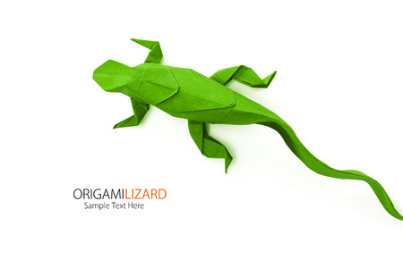 Origami paper art  green wild lizard on a white backgroundの写真素材