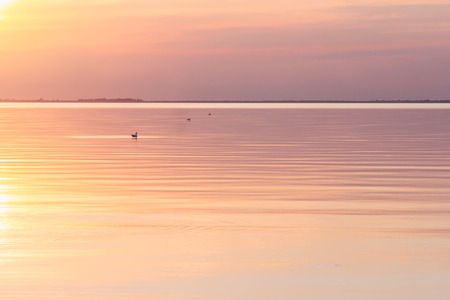 Lake tranquil pink sunset landscape above water wavesの写真素材