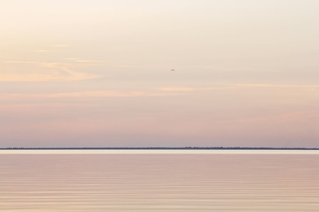 Lake tranquil pink sunset landscape above water wavesの写真素材