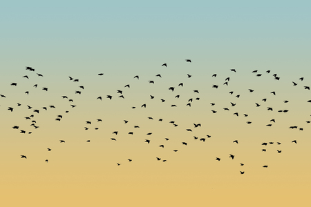 Bird silhouette swarm black flying on a blue sky backgroundの写真素材
