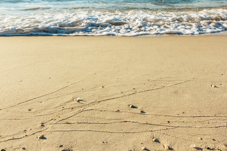 Sand beach with blue wave blank backgroundの写真素材