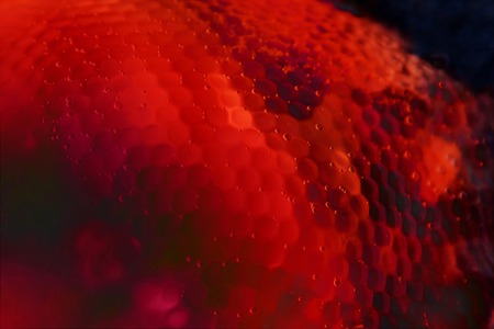 Abstract red biology anatomy nano structure blood backgroundの写真素材