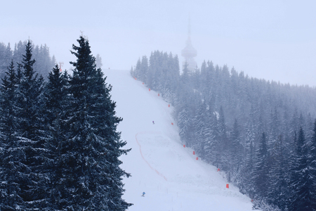 Winter forest mountain snow ski school trace mans on snow backgroundの写真素材