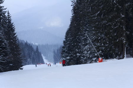 Winter forest mountain snow ski school trace mans on snow backgroundの写真素材