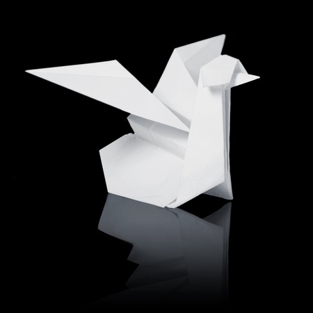 Origami paper swan on water on a black background.の写真素材