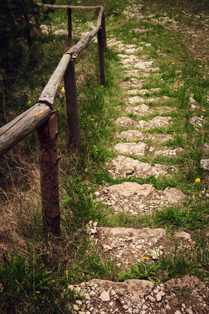 Natural path stairの写真素材