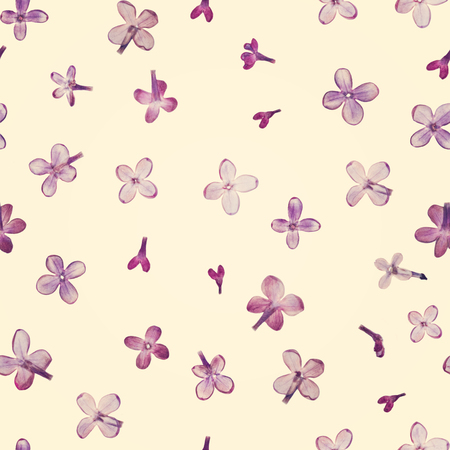 Pressed and dried violet lilac flowers isolated on a cream background pattern. For use in scrapbooking floristry or herbarium.の写真素材