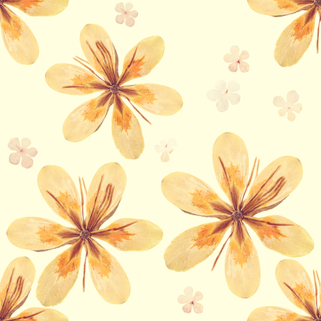 Pressed and dried flowers patternの写真素材