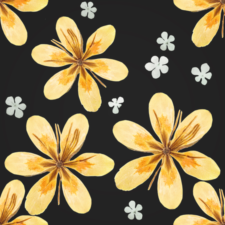 Pressed and dried flowers patternの写真素材