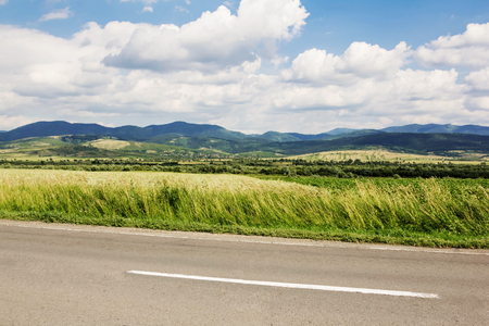 Spring summer carpathian landscape with green village fieldの写真素材