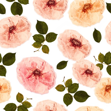 Pressed and dried rose flowers backgroundの写真素材