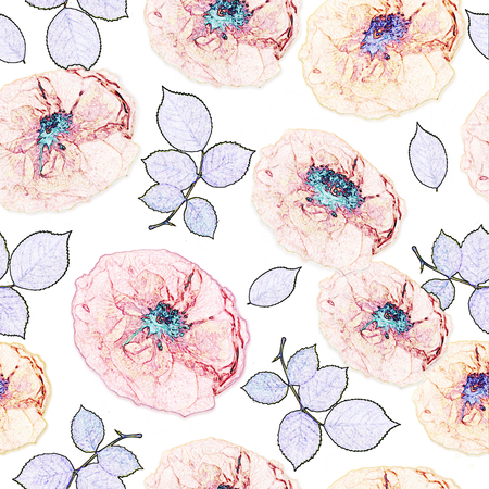 Rose flowers sketch patternの写真素材