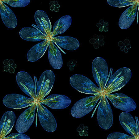 Flowers sketch patternの写真素材