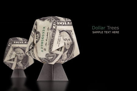 Origami dollar money tree son a blackの写真素材