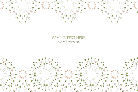 Pressed and dried flowers fragility isolated on white backgroundの写真素材