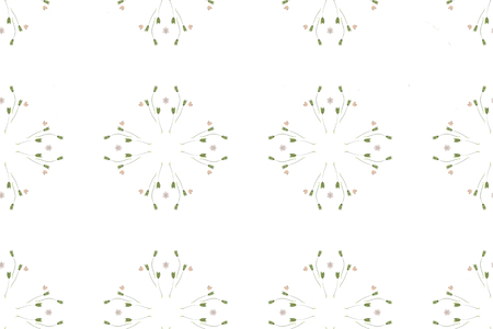 Pressed and dried flowers fragility isolated on white backgroundの素材 [FY310121556411]