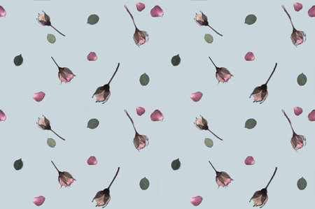 Spring rose flowers pattern wallpaper seamless on blue backgroundの写真素材
