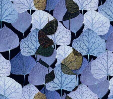 A seamless pattern with leaf,autumn leaf backgroundの写真素材