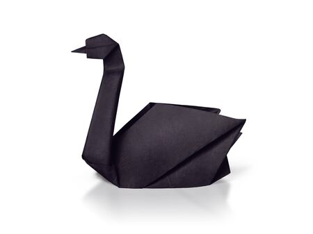 Origami paper rare black swan on a whiteの写真素材
