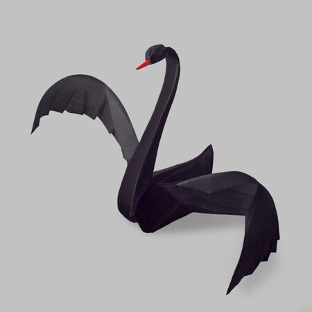 Origami paper rare event black swan on a grey backgaroundの写真素材