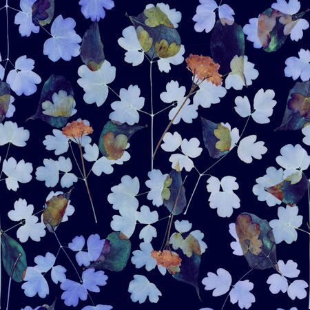 Seamless floral pattern with wild flowers on navy blue backgroundの写真素材