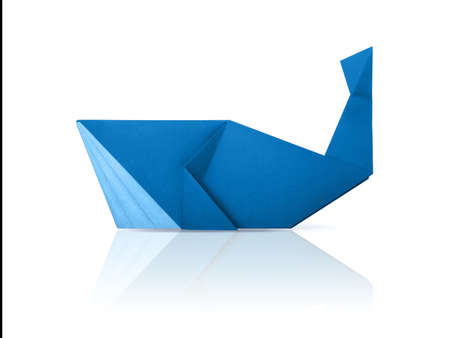 Photo of paper origami marine blue whale isolated on a whiteの写真素材