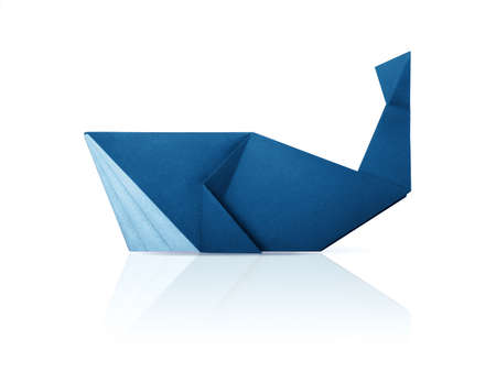 Photo of paper origami marine blue whale isolated on a whiteの写真素材