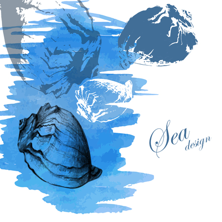 Hand drawn seashells on a watercolor sea background. Vector illustration.のイラスト素材
